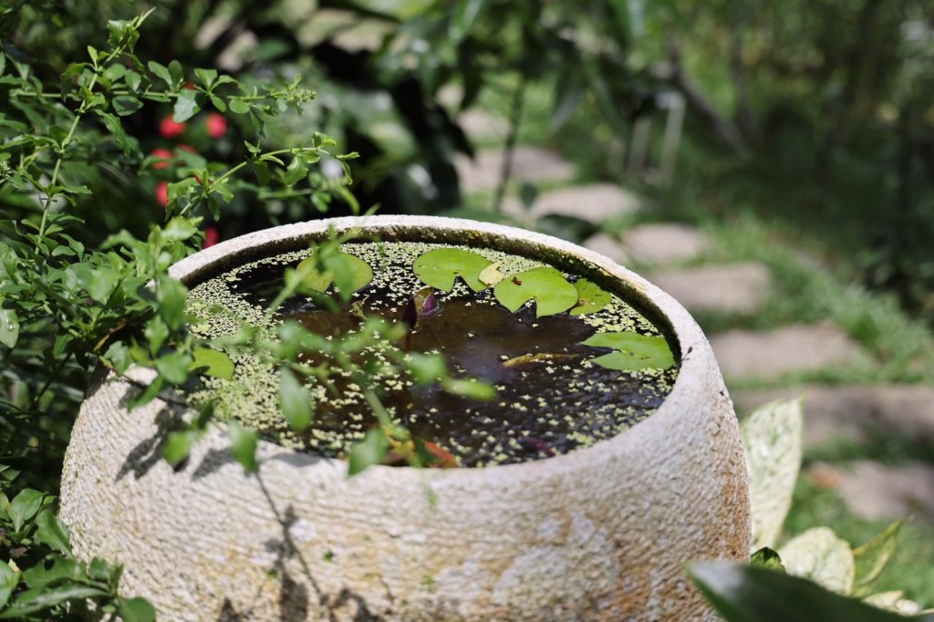 方圓行止 Funyuan village