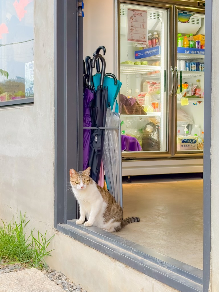 歸樸森活露營區 嘉義 懶人露營 推薦13